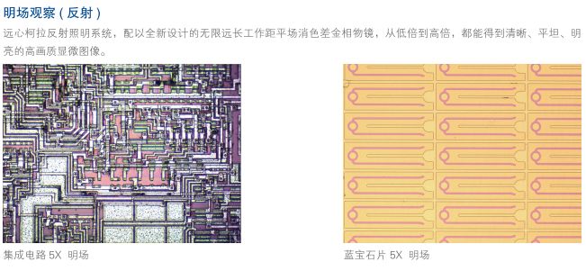16545948486827.png image.png