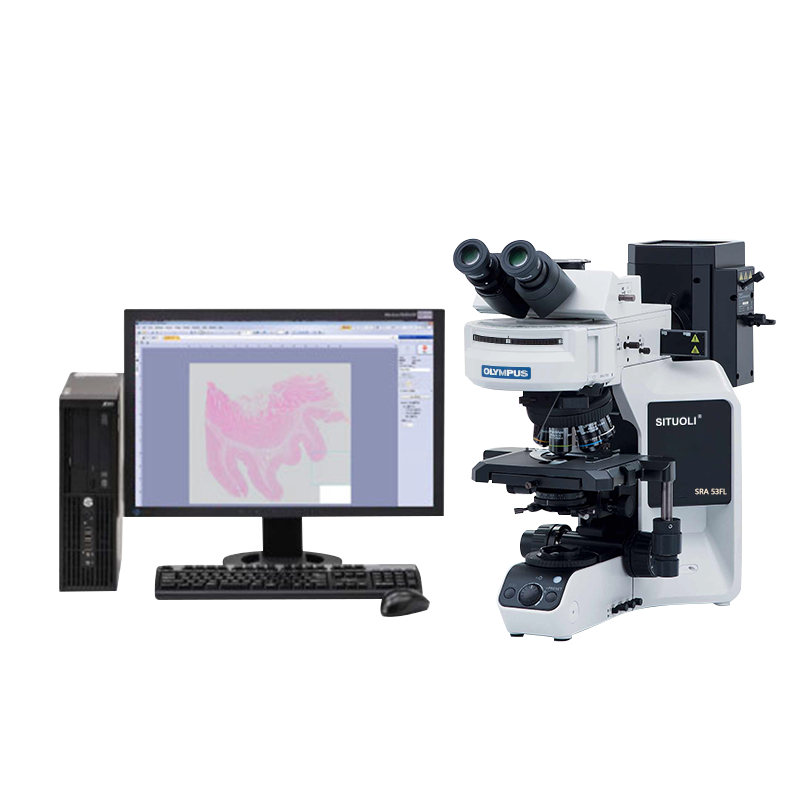 电动正置荧光成像系统SRA 53FL