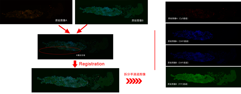 15988561771868.png 0322456636.png