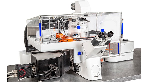 15988583616206.jpg 0458388579.jpg