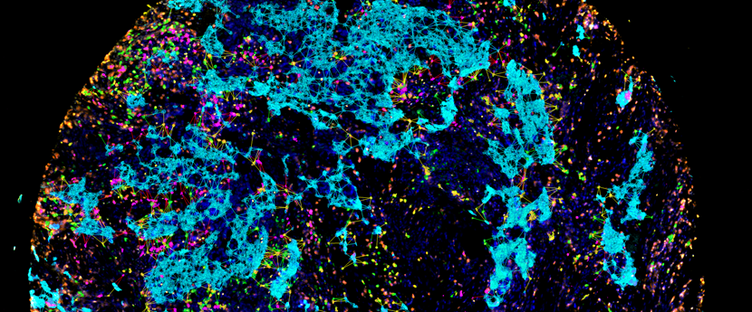 15988598967278.png 0605598027.png