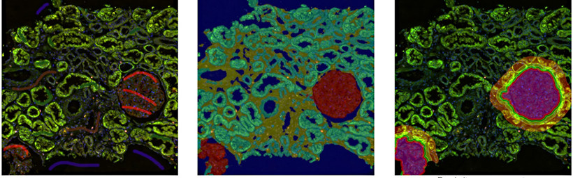 15988598081673.jpg 0440002269.jpg