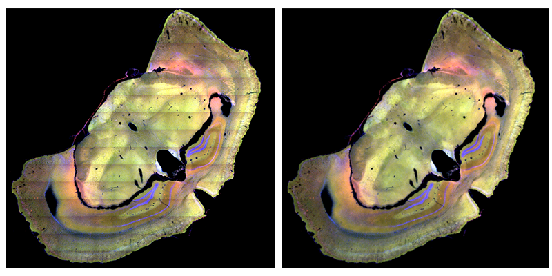 15988623284845.png 0536470248.png