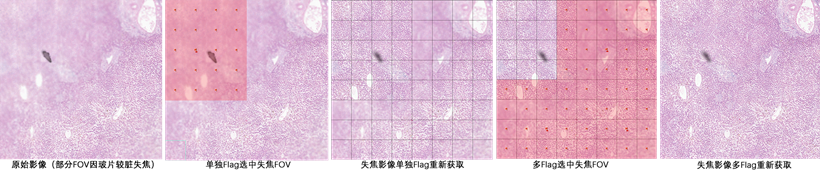 15988624026034.png 0407480262.png