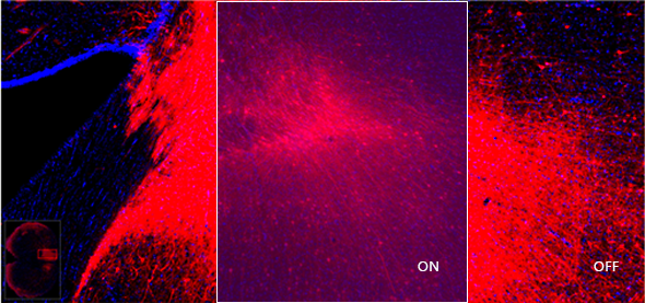 15988622913856.png 0759418398.png