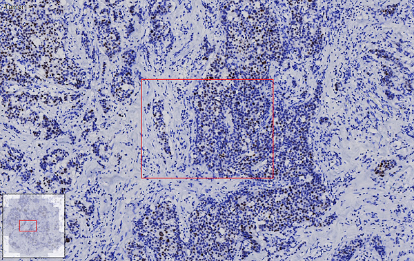 15988627665855.png 0535562176.png