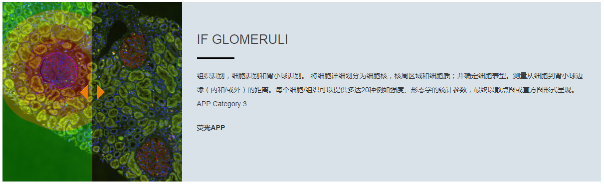 15988633837524.png 8.png