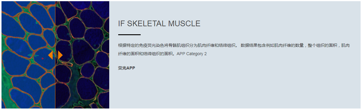 15988633787976.png 7.png