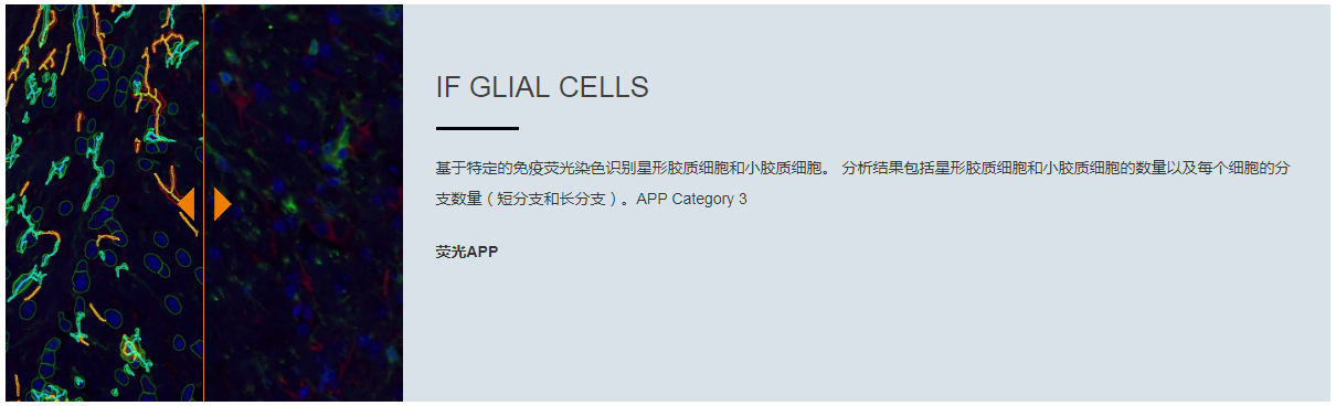 15988633665152.png 5.png