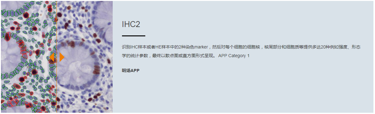 15989222797989.png 2.png