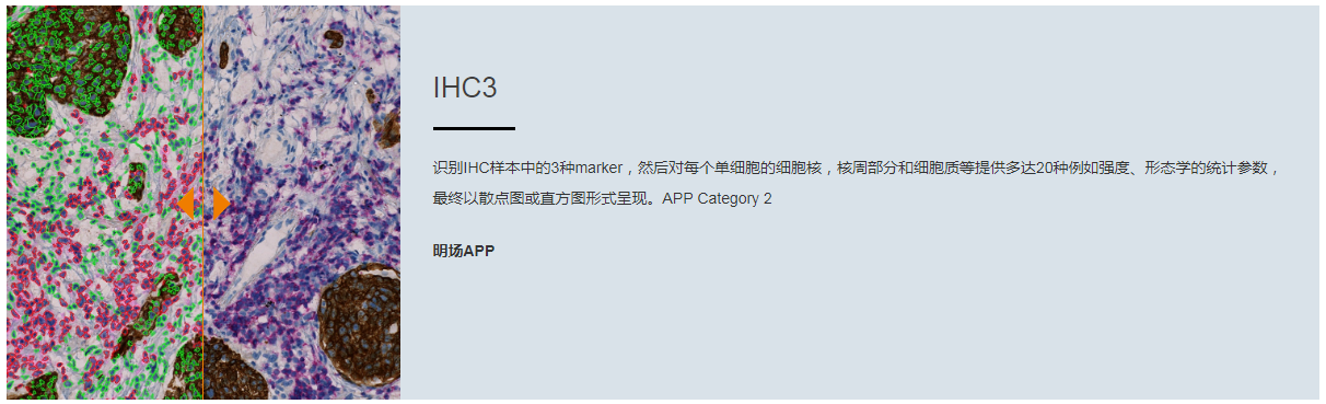 15988638748717.png 2.png