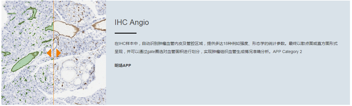 15988638808363.png 3.png