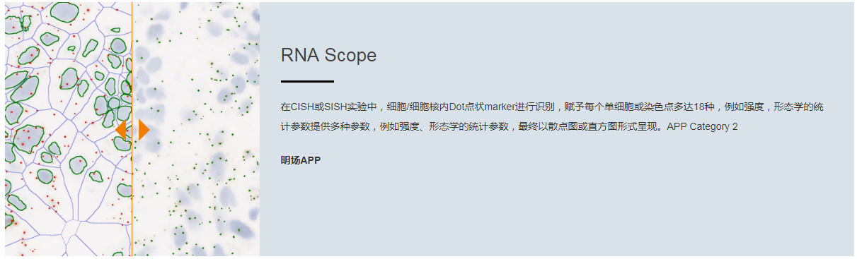 15988638844509.png 4.png