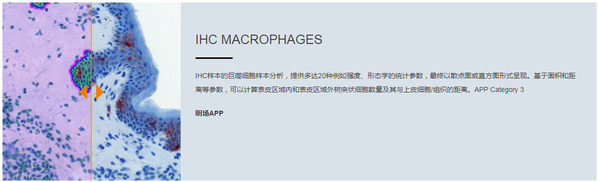 15988638934021.png 6.png