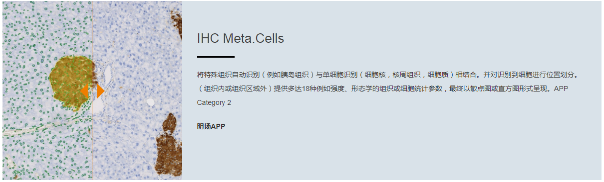 15988638985622.png 11.png