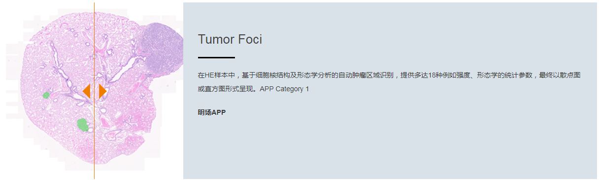 15988639072184.png 12.png