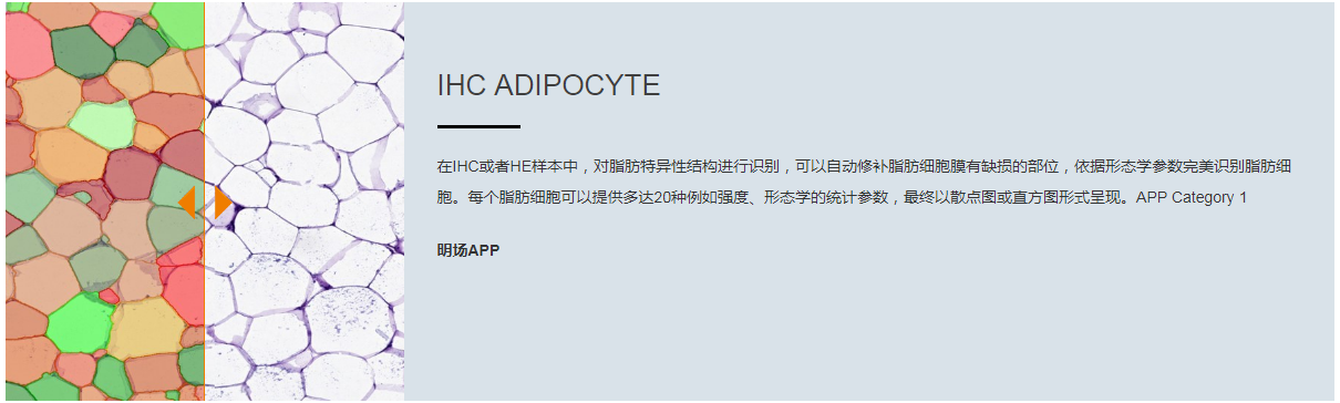 15988638897837.png 5.png