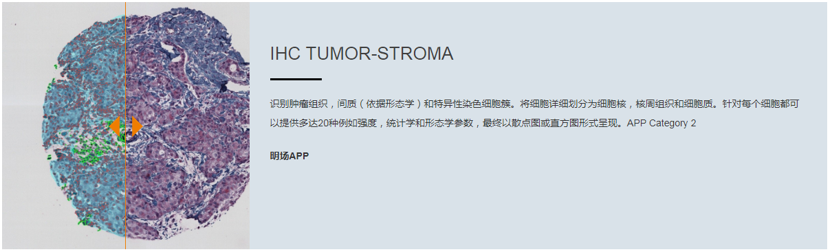 15988639133758.png 13.png