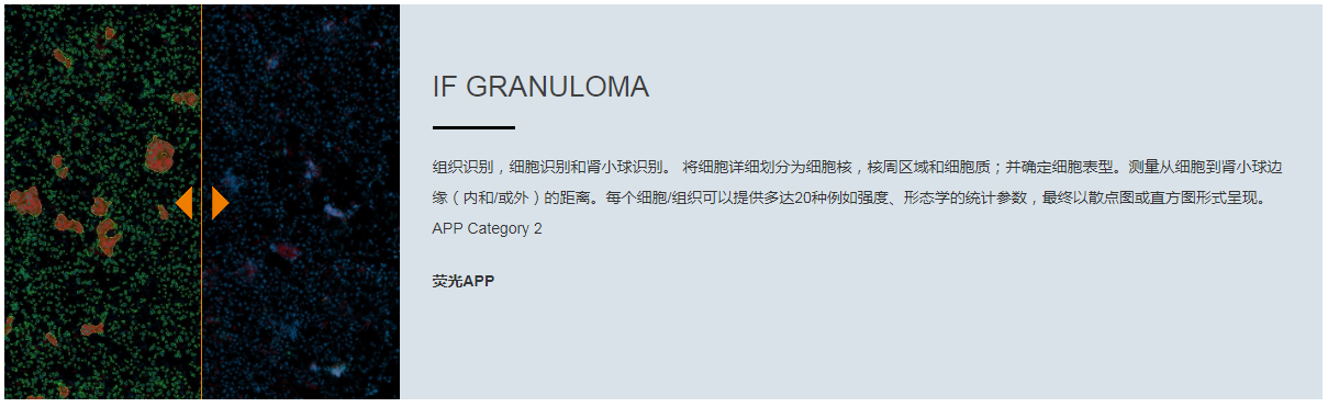 15988633343635.png 2.png