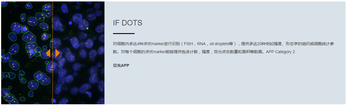 15988634137253.png 1.png