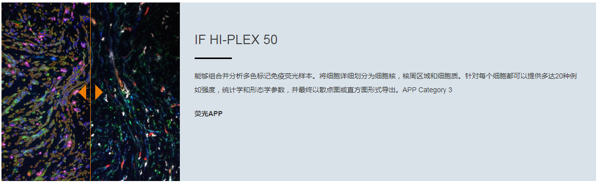 15988633559291.png 4.png