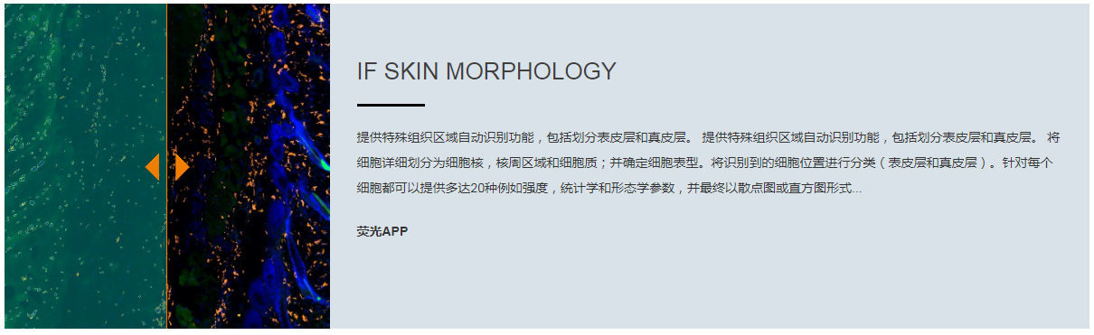 15988633736462.png 6.png