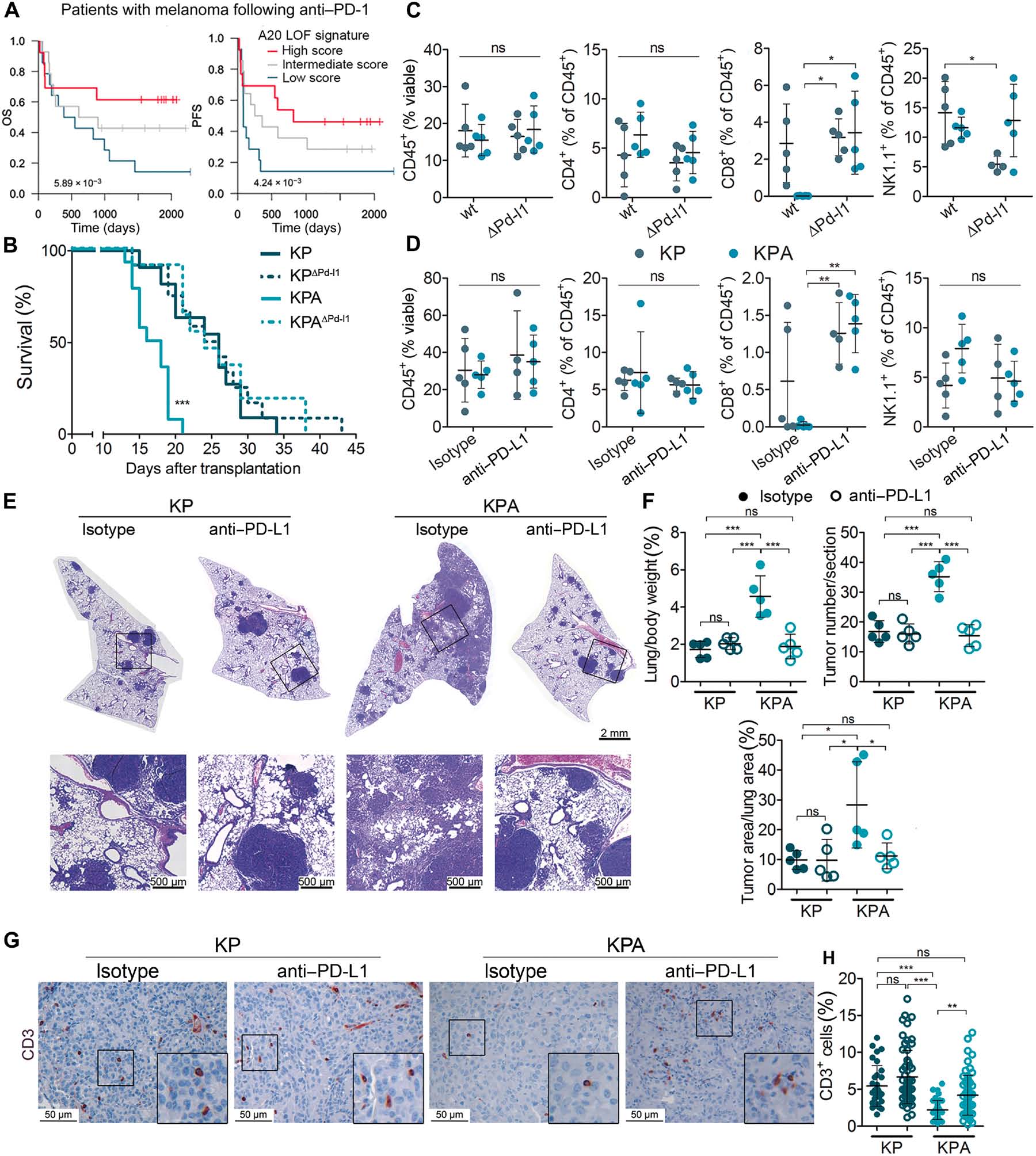 ea676bc3911.jpg ea676bc3911.jpg