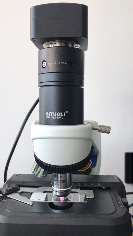 16312520975028.png 16312520975028.png