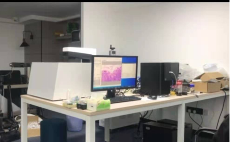 16312525051210.png 16312525051210.png