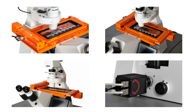 15922056985929.png image.png