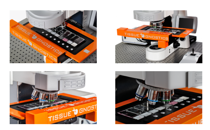 15922053981730.png image.png