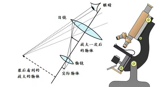 1758871131598141.png image.png