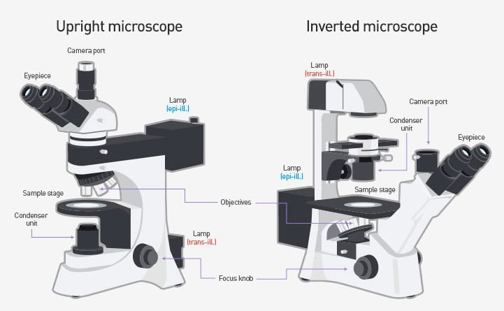 1775784652763257.png image.png